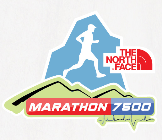 Identitate vizuala si branding